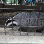 phoca_thumb_m_vp- 1.den  48 Fotogalerie